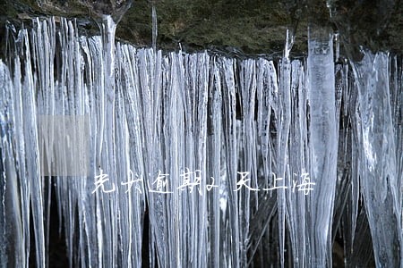 光大逾期2天上海