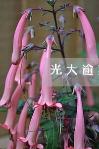 光大逾期2年还能申请信用卡吗