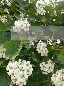 光大逾期2期怎么处理 光大逾期2期怎么处理