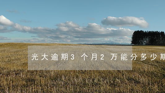 光大逾期3个月2万能分多少期 光大逾期3个月2万能分多少期