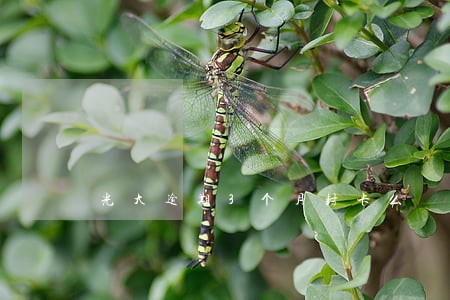 光大逾期3个月封卡么 光大逾期3个月封卡么