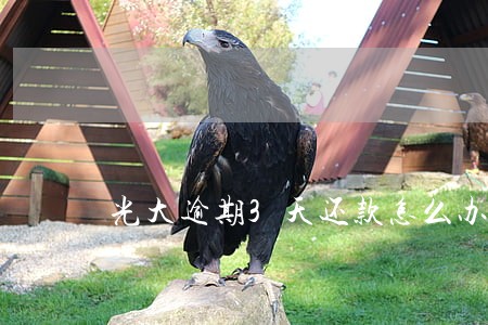 光大逾期3天还款怎么办 光大逾期3天还款怎么办