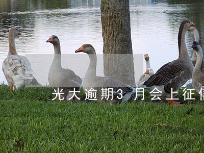光大逾期3月会上征信 光大逾期3月会上征信