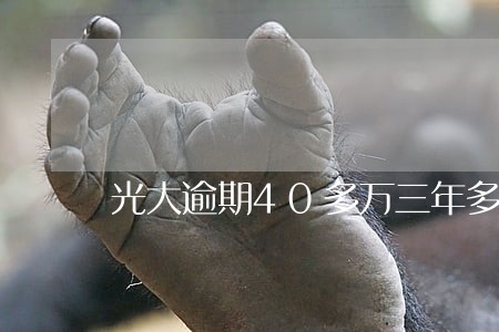光大逾期40多万三年多了 光大逾期40多万三年多了