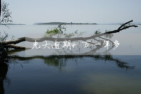 光大逾期4万一年多 光大逾期4万一年多