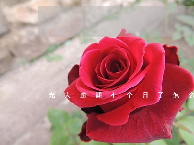 光大逾期4个月了怎么办 光大逾期4个月了怎么办