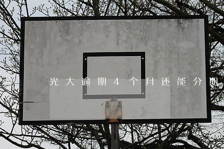 光大逾期4个月还能分期吗 光大逾期4个月还能分期吗