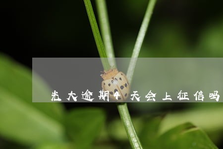 光大逾期4天会上征信吗 光大逾期4天会上征信吗