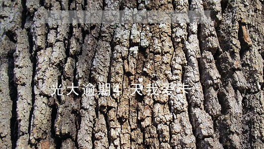 光大逾期4天我爱卡 光大逾期4天我爱卡