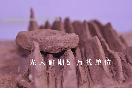 光大逾期5万找单位