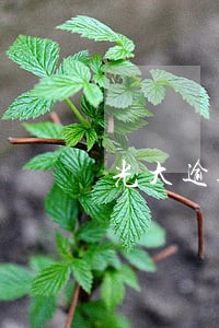 光大逾期5个月了