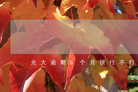 光大逾期5个月银行不打电话 光大逾期5个月银行不打电话