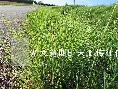 光大逾期5天上传征信吗