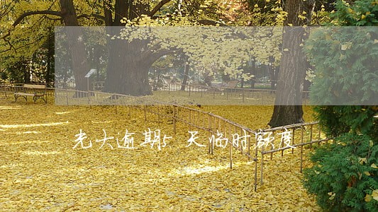 光大逾期5天临时额度 光大逾期5天临时额度