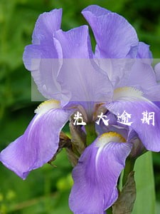 光大逾期5天怎么
