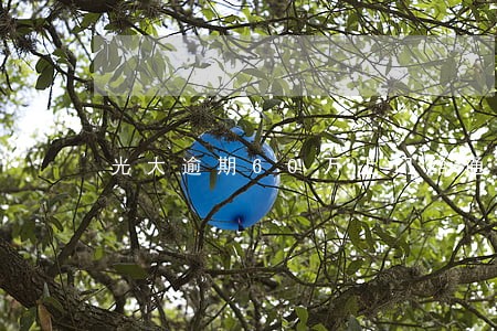 光大逾期60万上门给通知函 光大逾期60万上门给通知函