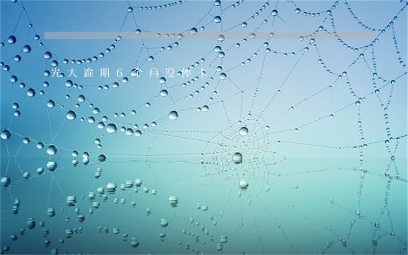 光大逾期6个月没停卡 光大逾期6个月没停卡