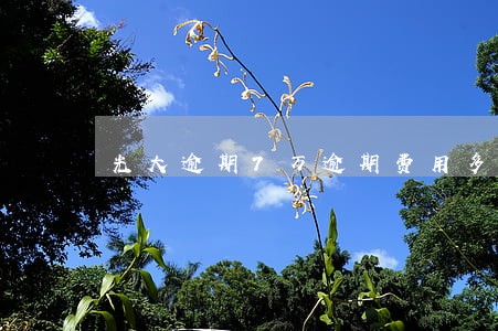 光大逾期7万逾期费用多少钱 光大逾期7万逾期费用多少钱