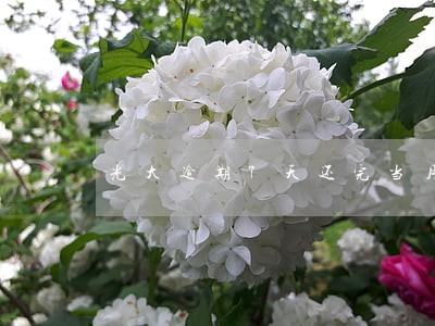 光大逾期7天还完当月账单总欠款
