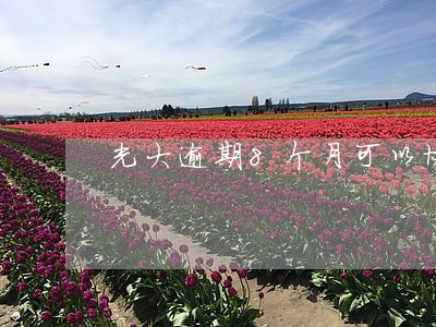 光大逾期8个月可以协商吗 光大逾期8个月可以协商吗