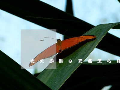 光大逾期8天会怎么样上海