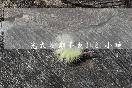 光大逾期不到12小时 光大逾期不到12小时