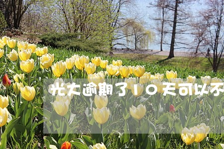 光大逾期了10天可以不上报 光大逾期了10天可以不上报