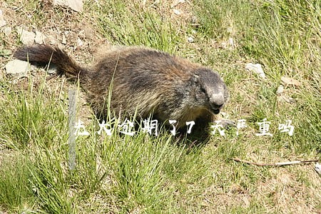 光大逾期了7天严重吗 光大逾期了7天严重吗