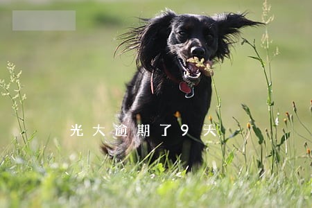 光大逾期了9天 光大逾期了9天