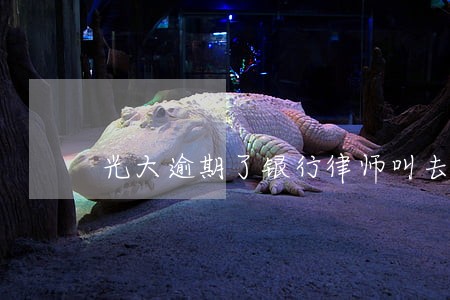 光大逾期了银行律师叫去签协议 光大逾期了银行律师叫去签协议