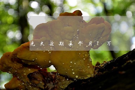 光大逾期五个月7万 光大逾期五个月7万