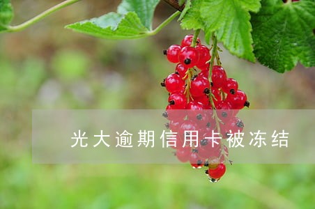 光大逾期信用卡被冻结