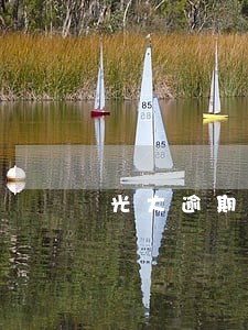 光大逾期只还本金可能性大吗 光大逾期只还本金可能性大吗