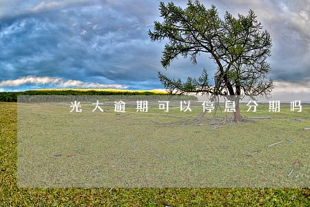 光大逾期可以停息分期吗