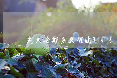 光大逾期多久催收95595 光大逾期多久催收95595