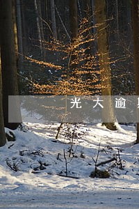 光大逾期过6期账单提额 光大逾期过6期账单提额