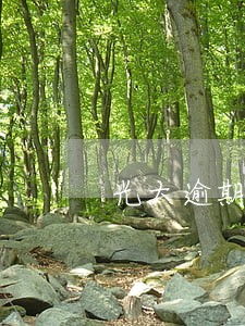 光大逾期银行上门调查花旗
