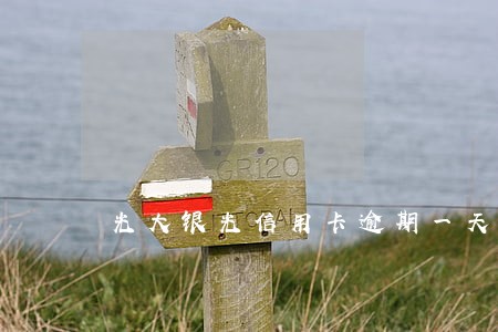光大银光信用卡逾期一天 光大银光信用卡逾期一天