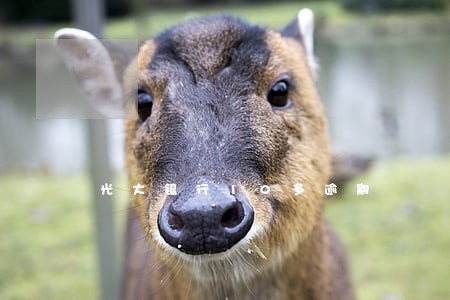 光大银行10多逾期 光大银行10多逾期