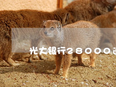 光大银行28000逾期3个月