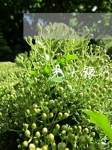 光大银行云南21000逾期云南