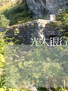 光大银行信用卡5万逾期120 光大银行信用卡5万逾期120