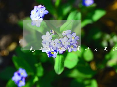 光大银行信用卡6天还款算逾期吗 光大银行信用卡6天还款算逾期吗