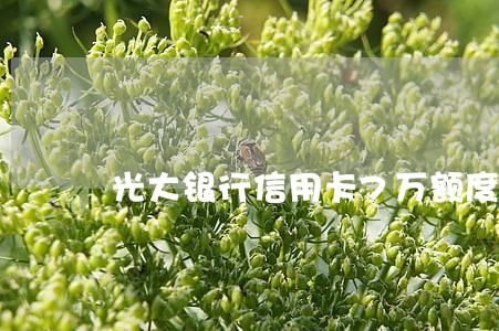 光大银行信用卡7万额度逾期半年