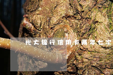 光大银行信用卡两年七次逾期 光大银行信用卡两年七次逾期