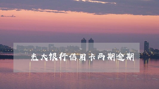 光大银行信用卡两期逾期 光大银行信用卡两期逾期