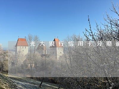 光大银行信用卡分期逾期 光大银行信用卡分期逾期