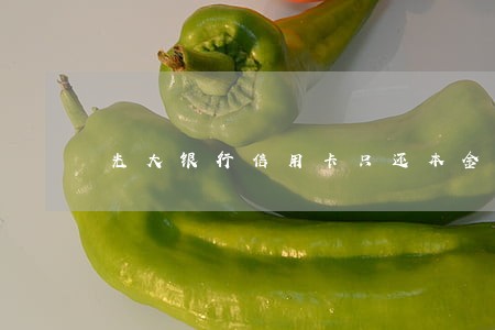 光大银行信用卡只还本金案例 光大银行信用卡只还本金案例