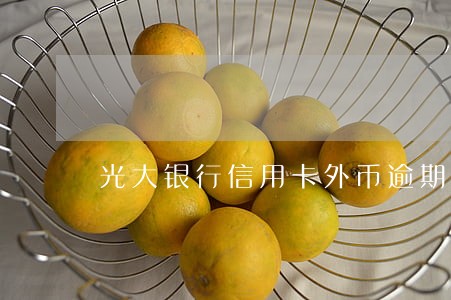 光大银行信用卡外币逾期 光大银行信用卡外币逾期