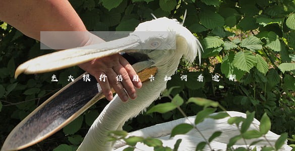光大银行信用卡如何看逾期